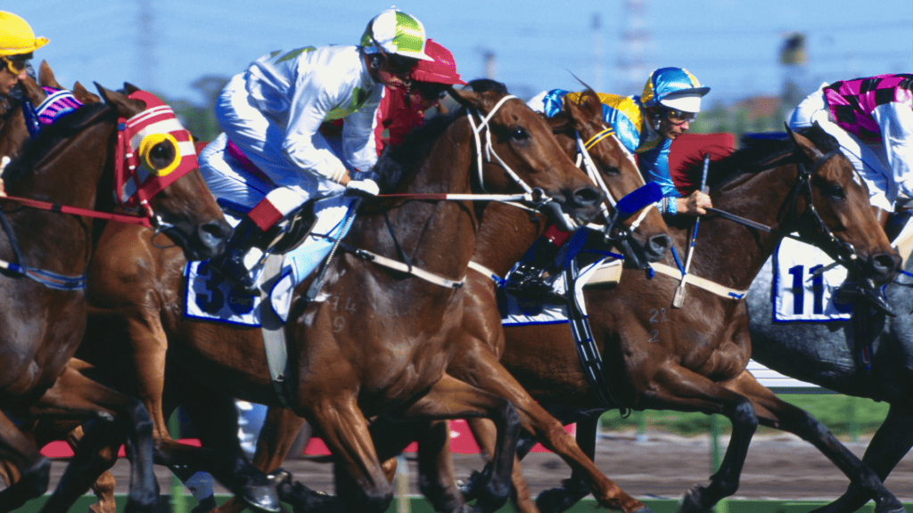 買馬勝券在握︱贏馬必勝貼士與賭馬技巧大揭密，附免費賽馬貼士網推介！